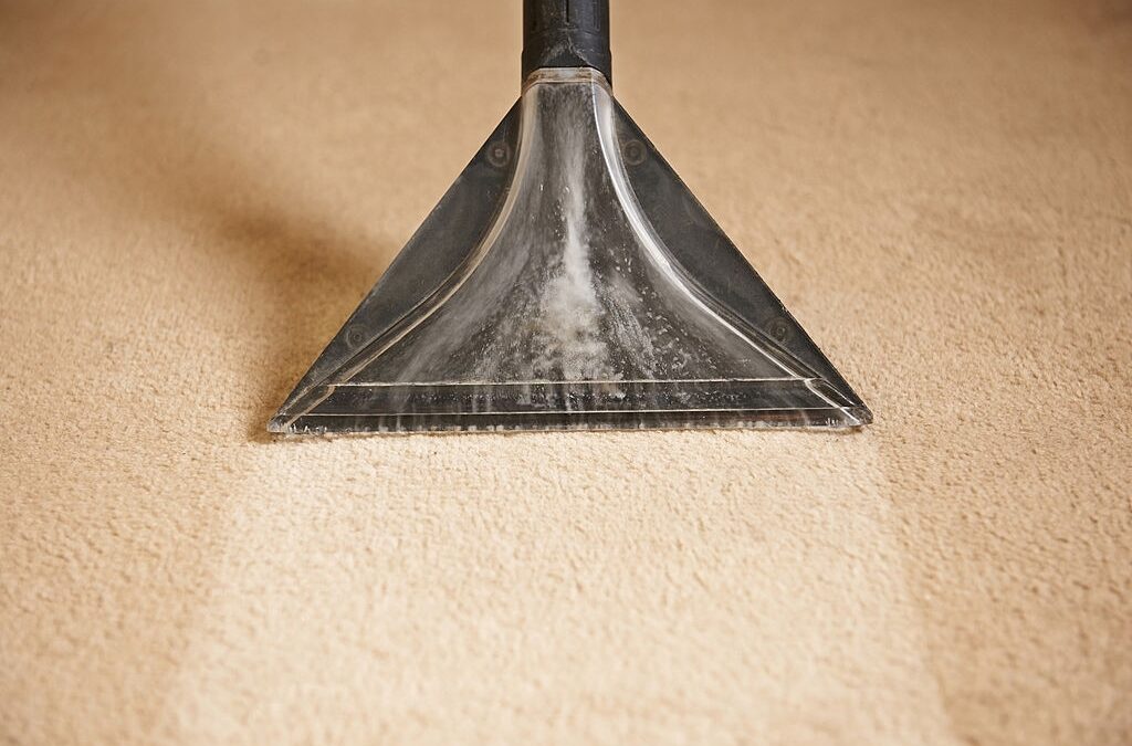Reasons to Hire a Professional for Carpet Cleaning in Grapevine