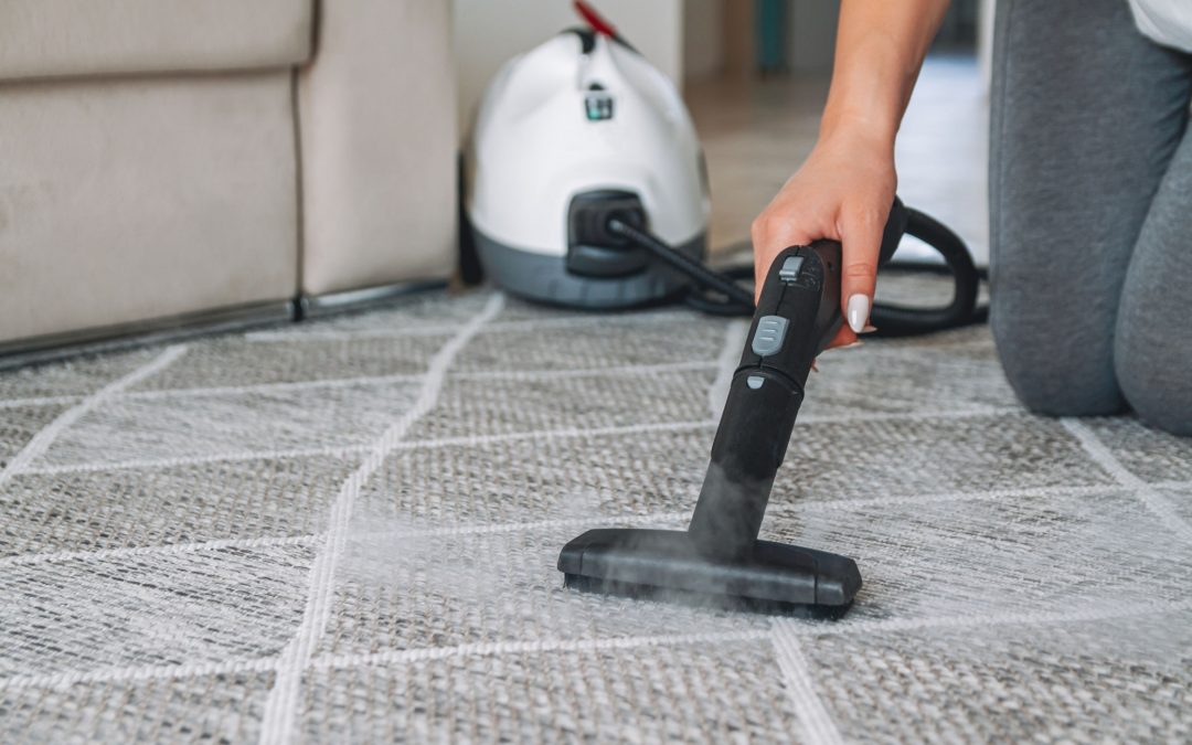 What Is So Special About Carpet Steam Cleaning
